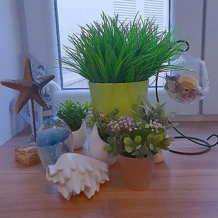 Felicity Studio In The Center *